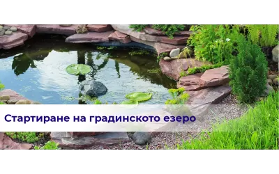 Стартиране на градинското езеро