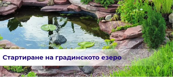 Стартиране на градинското езеро