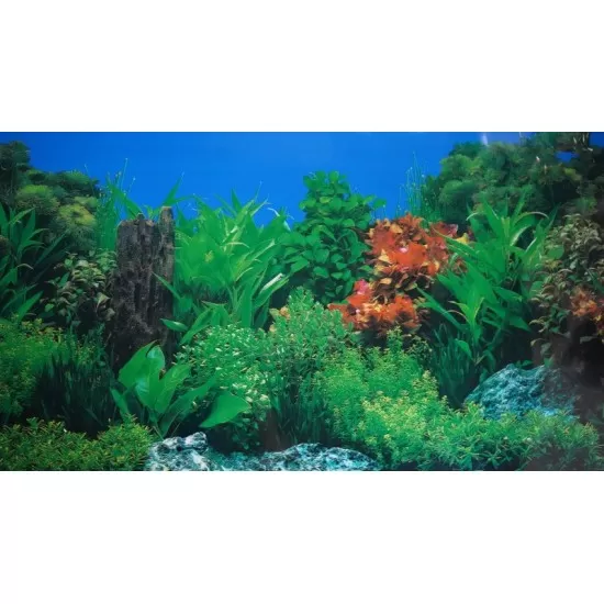 Фон за аквариум High Water Plant - еднолицев - 1