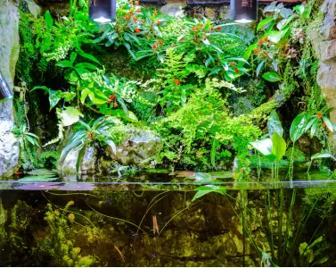 Аквариум Палудариум-част 1