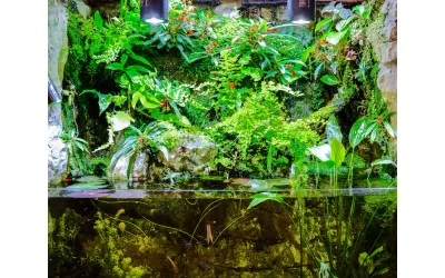 Аквариум Палудариум-част 1