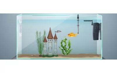 Избор на аквариум, оборудване, аксесоари, декорации и препарати (първа част)