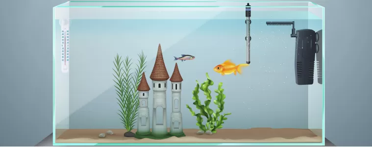 Избор на аквариум, оборудване, аксесоари, декорации и препарати (първа част)