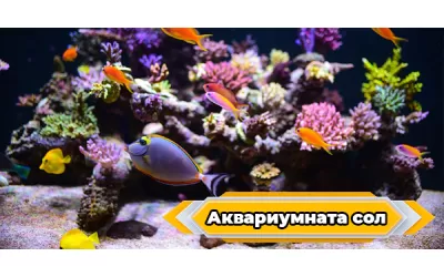 Аквариумната сол