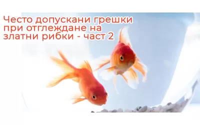Често допускани грешки при отглеждане на златни рибки - част 2