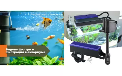 Видове филтри и филтрация в аквариума