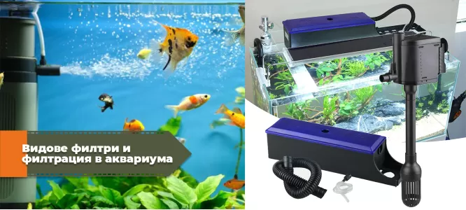 Видове филтри и филтрация в аквариума