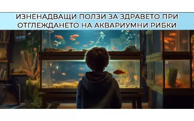 Изненадващи ползи за здравето при отглеждането на аквариумни рибки