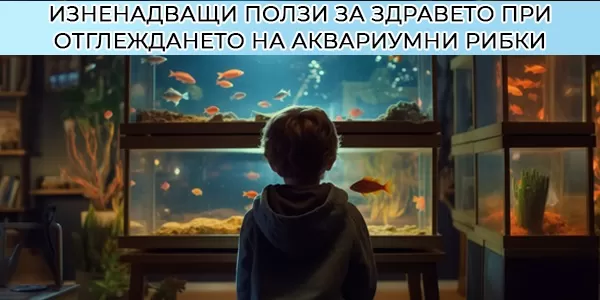 Изненадващи ползи за здравето при отглеждането на аквариумни рибки