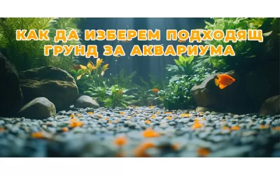 Как да изберем подходящ грунд за аквариума