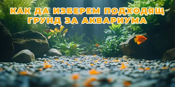 Как да изберем подходящ грунд за аквариума