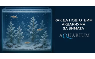 Как да подготвим аквариума за зимата