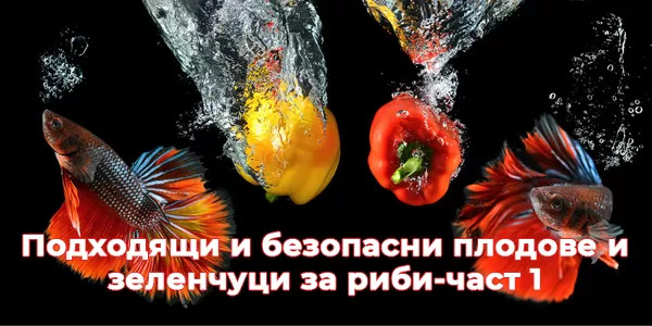 Подходящи и безопасни плодове и зеленчуци за риби-част 1
