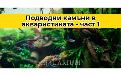 Подводни камъни в акваристиката - част 1