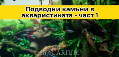 Подводни камъни в акваристиката - част 1