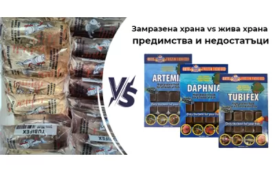 Замразена храна vs жива храна - предимства и недостатъци