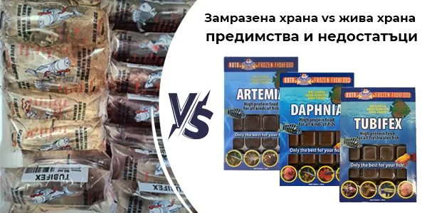 Замразена храна vs жива храна - предимства и недостатъци
