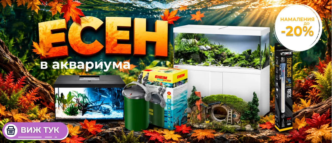 promo-oktober