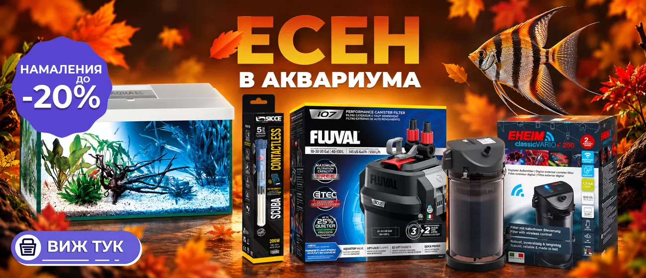 promo-oktober