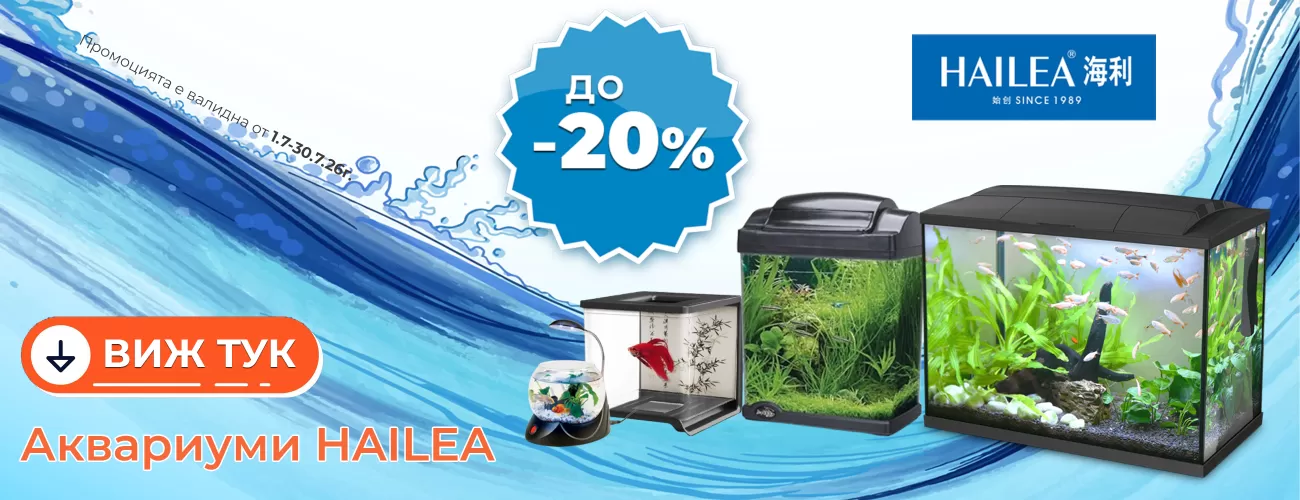 hailea promo