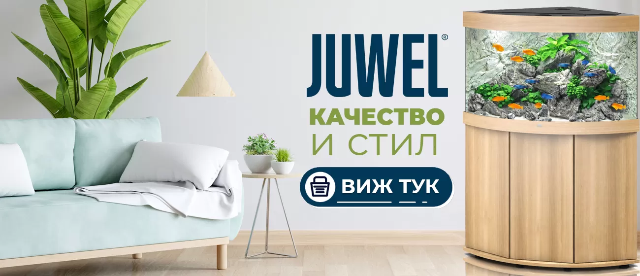 juwel