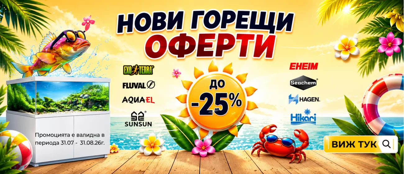 promo-august
