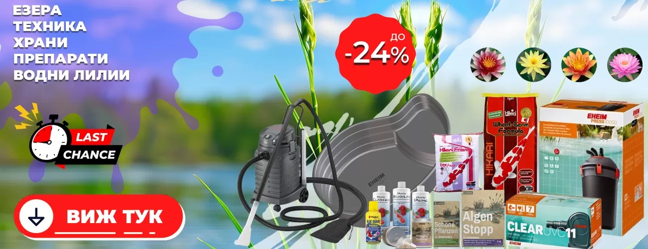 ciano promo