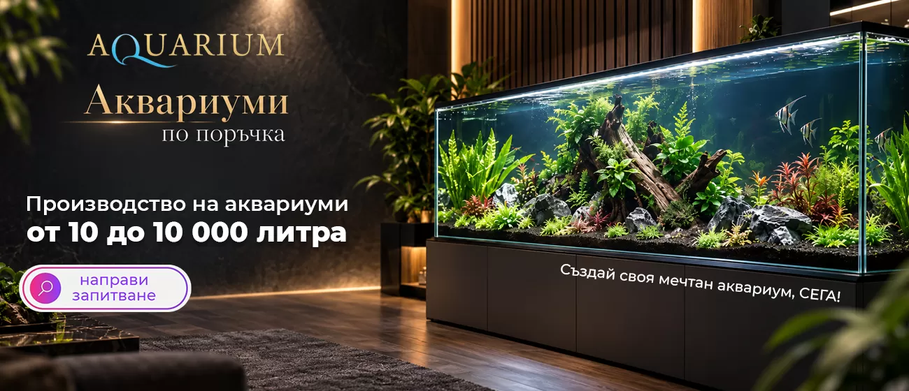 custom aquariums