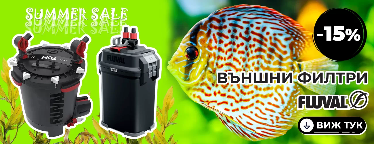 fluval promo