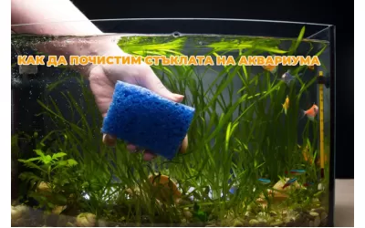 Как да почистим стъклата на аквариума
