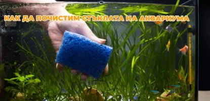 Как да почистим стъклата на аквариума