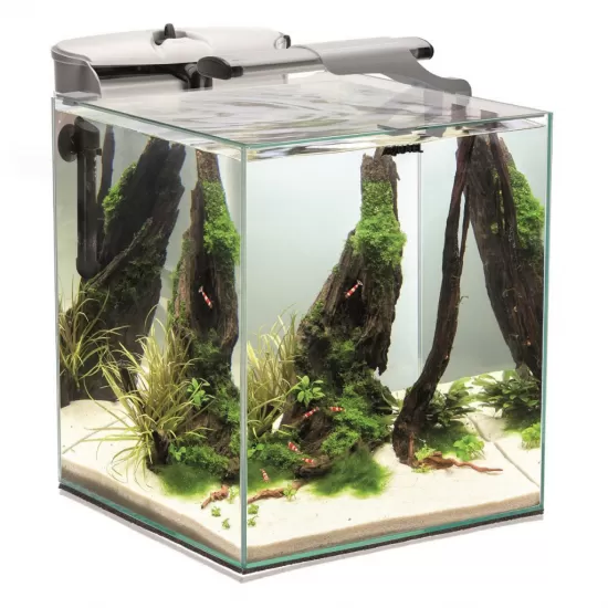 Аквариум AquaEL Shrimp SET DUO 35 - бял - 1