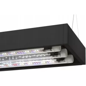 Aквариум AquaEL UltraScape 90 Aквариум AquaEL UltraScape 90