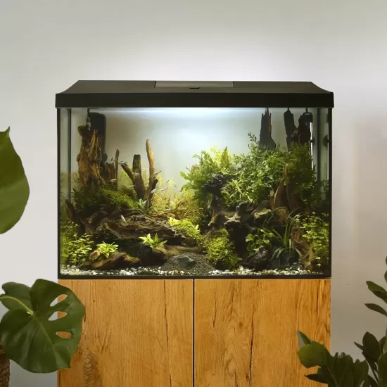 Aквариум AquaEl LEDDY 60 XL DAY&NIGHT - 1