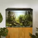 Aквариум AquaEl LEDDY 60 XL DAY&NIGHT