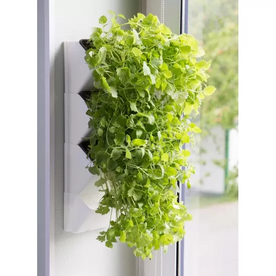 AquaEL VERSA GARDEN Herbs - 2