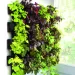 Aquael VERSA GARDEN STARTER KIT - 2