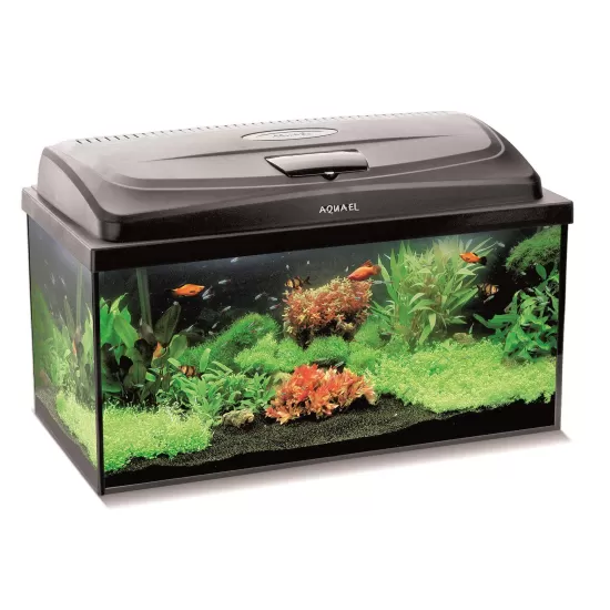 Аквариум Aquael Set Classic BOX 60 PROMO PAP - 1