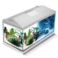 Aквариум Aquael Leddy Day&Night Plus 60 - бял
