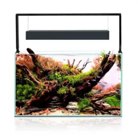 Aквариум AquaEL UltraScape 60 Aквариум AquaEL UltraScape 60