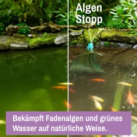 Препарат за езера Lawana Algae Stop 3кг.