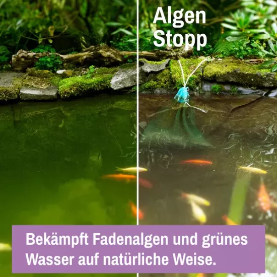 Препарат за езера Lawana Algae Stop 3кг. - 2