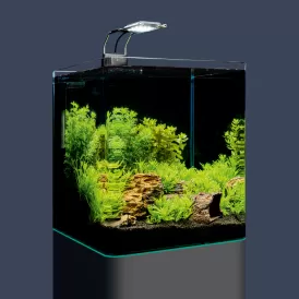  Аквариум Dennerle NanoCube Complete+ Soil 30л