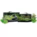 Аквариум Dennerle Nano Scapers Tank 70л - 4 - Aquarium.bg Аквариум Dennerle Nano Scapers Tank 70л - 4