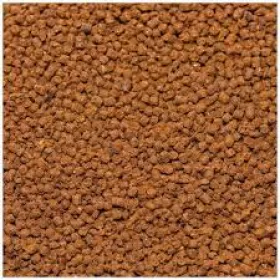 Dennerle Betta Booster 30ml