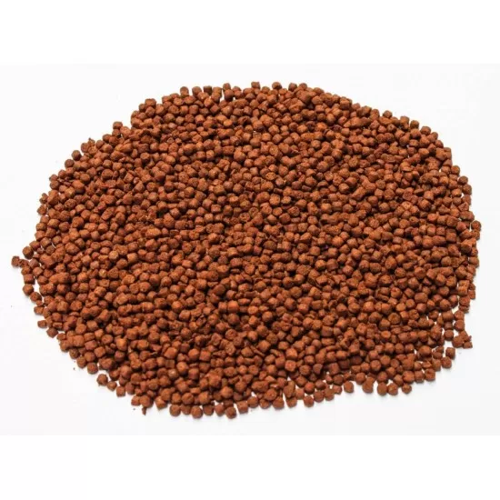 Dennerle Cichlid Carny - 2