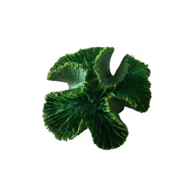 Изкуствена декорация - Зелен корал