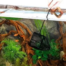 Кеп Ferplast 12см 