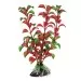 Изкуствено растение Ferplast Rotala 20 см