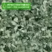 Грунд "Apple Green" (ябълково зелено) 6-8мм 2кг - 2